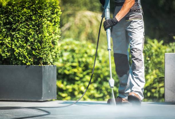 Best Sidewalk and Walkway Cleaning  in Bradenton, FL